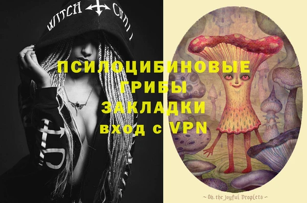 a pvp Сатка