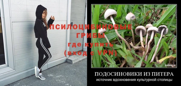 героин Бородино