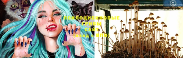 соль курить ск Бугульма