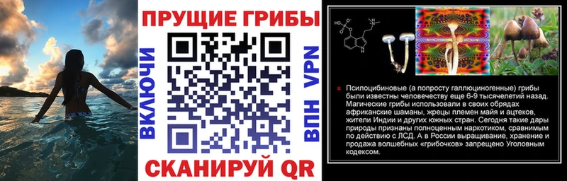 Псилоцибиновые грибы прущие грибы Катав-Ивановск